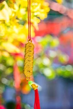 xì tố di động Nohu